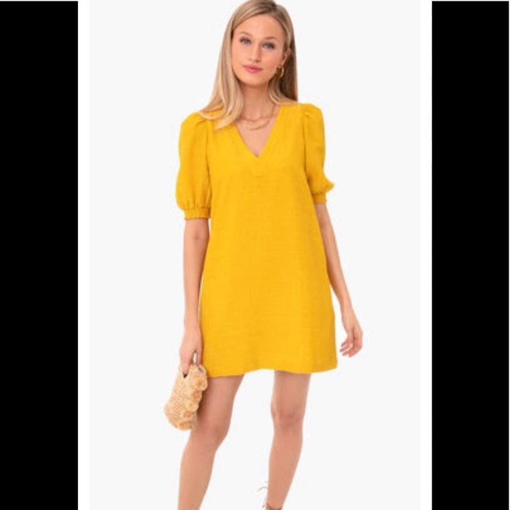 BB Dakota dress size medium. EUC